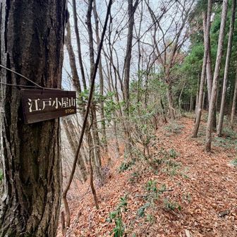 江戸小屋山。