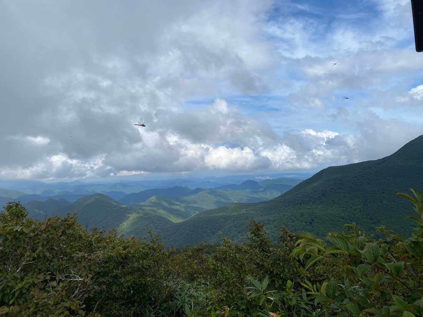 南面白山 往復コースの写真
