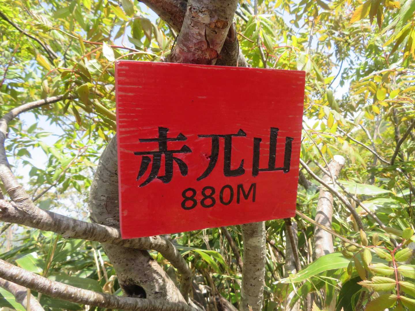 月惜峠-奥獅子吼山 往復コースの写真
