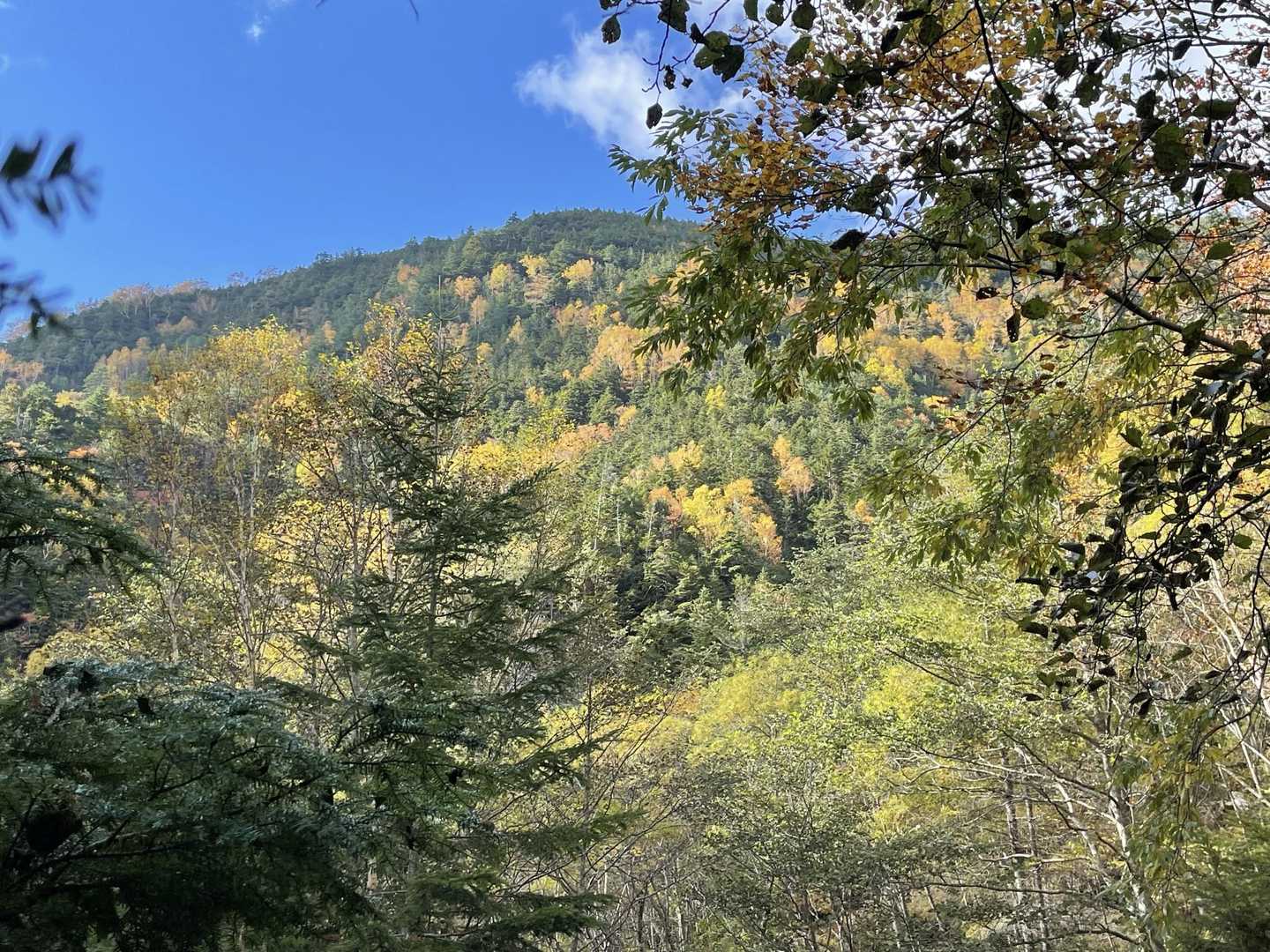 下の方は紅葉がとてもきれい～
