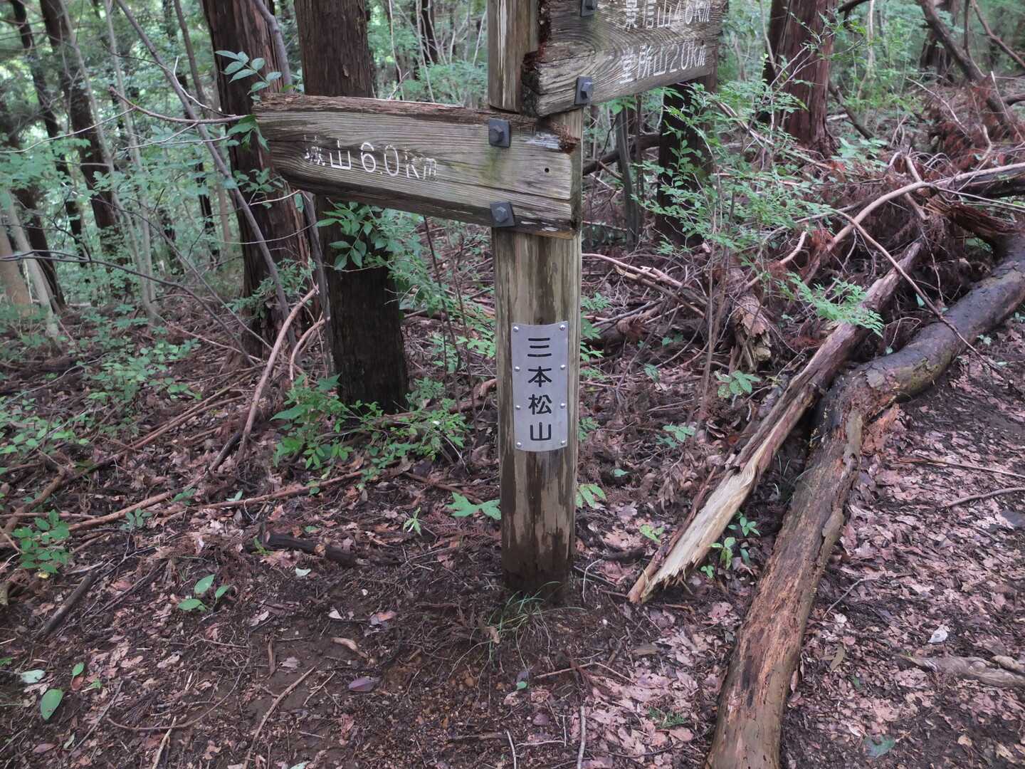 三本松山の写真