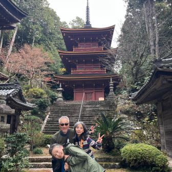 長命寺の808段階段
後半ちょこっと登って…