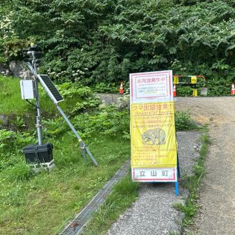 5月に熊の被害があった為、
周辺では高周波の音を鳴らしてます 🐻
