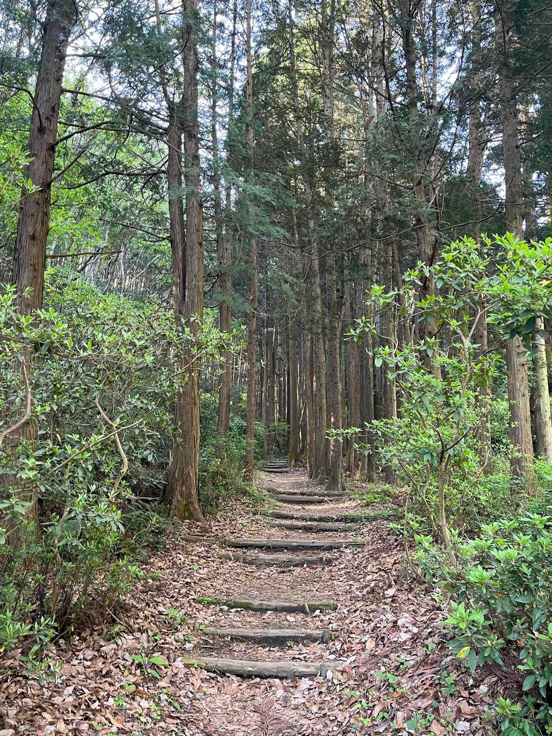 初っ端からの階段攻撃