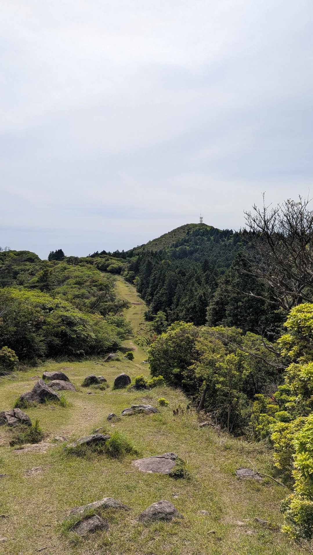 だるま山高原レストハウスバス停-金冠山 往復コース
の写真