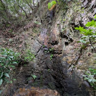 滝