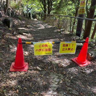 男坂🐝安全な女坂で帰ります。なので女坂は混んでました😅後で調べたらもう8月末には駆除は終わってるらしい。。
