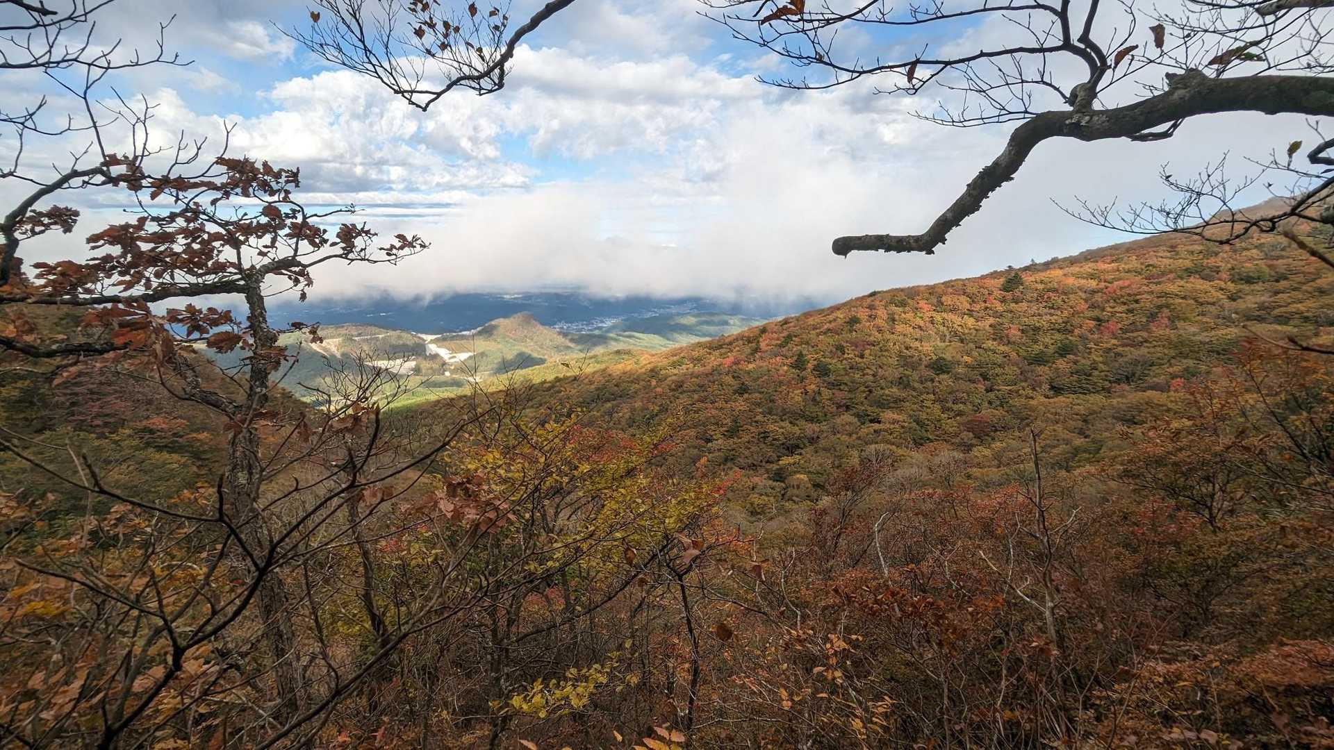 けっこう紅葉🍁してるんやな😍