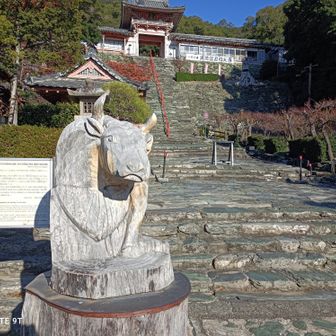 狛犬🐕️代わりに狛牛🐄が😆