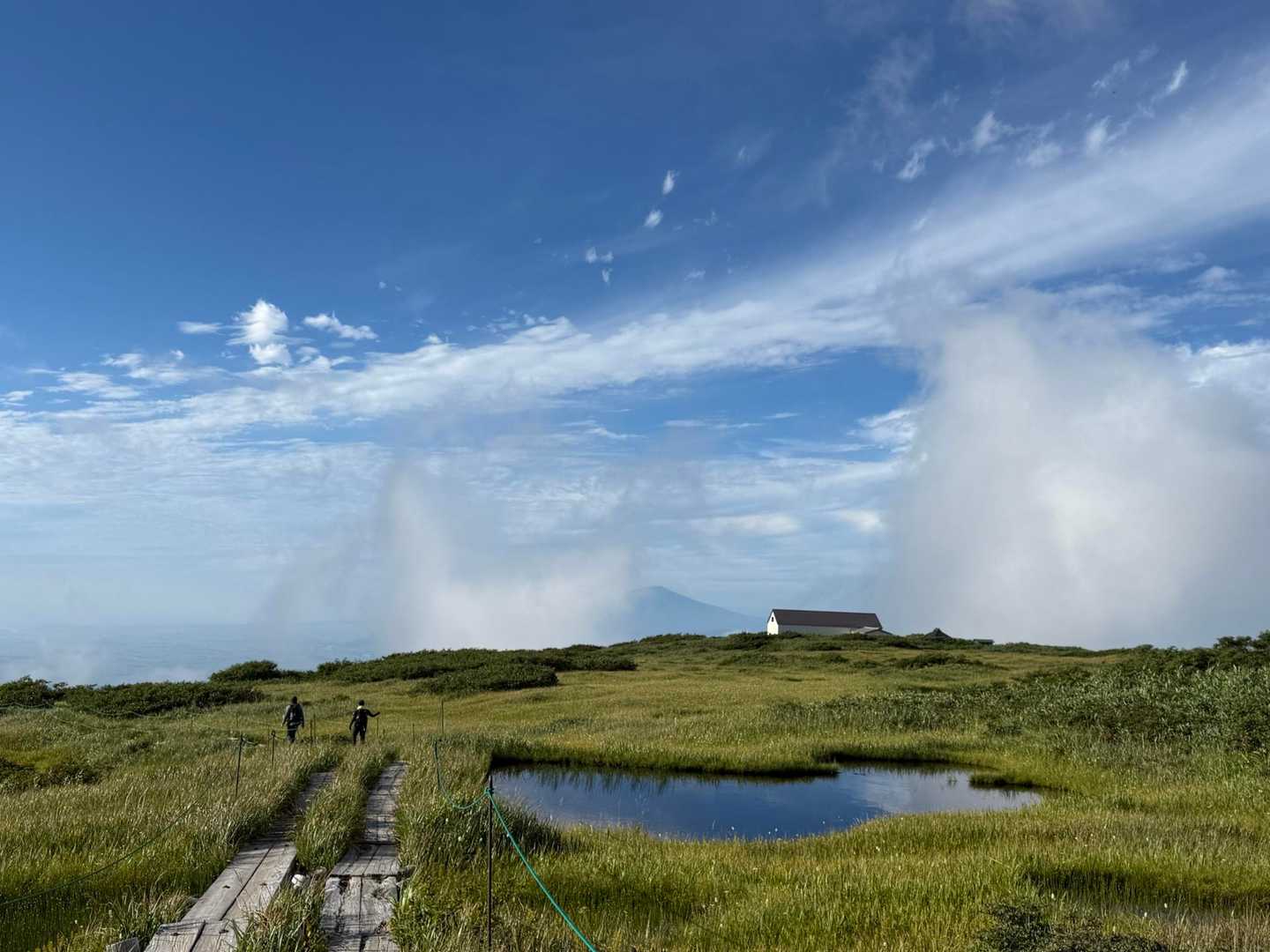 月山八合目往復 | 夏は残雪と花の楽園、秋は黄金に染まる草紅葉、四季折々の魅力の写真