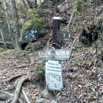 分岐
超えると岩🪨を乗り越えればすぐに滝