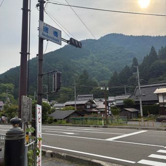 スタートの交番。
目の前の人が信号無視していて悲しい。立派な大人なので交通マナーくらい守っていただきたいし、真似はしないでおこうと心に誓った。
