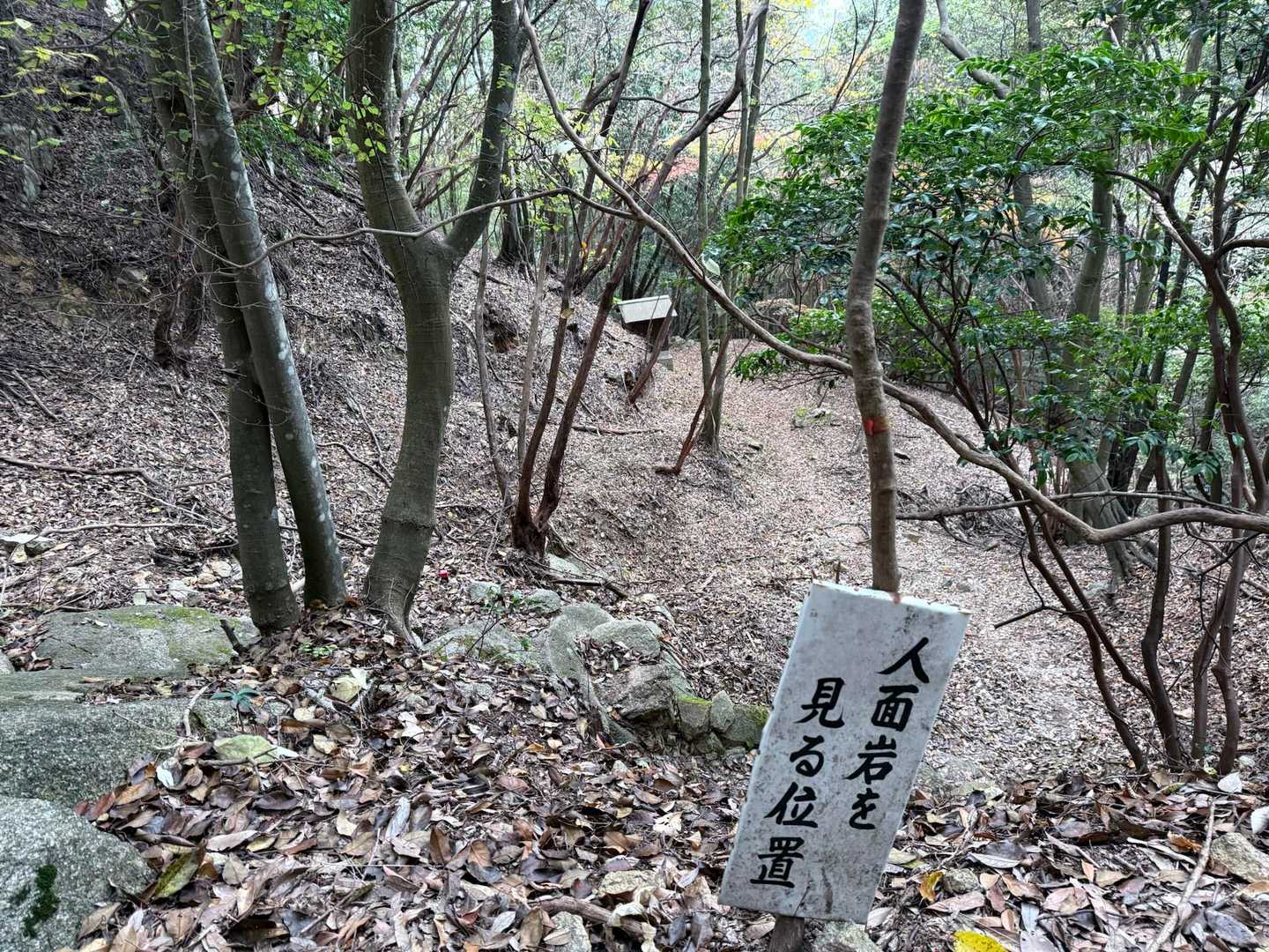 人面岩⁈
