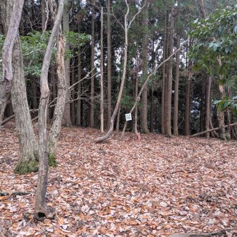 【前鬼】山頂
空模様怪しく少し迷うが、すんなり登山道下だらず、マニアックな藪漕ぎルート選択！