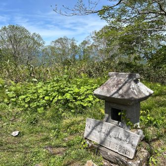 快晴の頂上到着です。