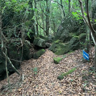 The trail is fun