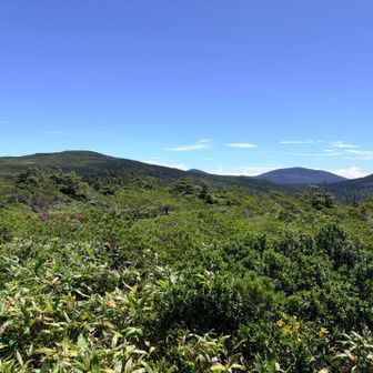 東大巓の向こうに東吾妻山