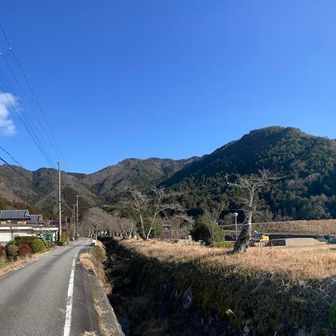 歩いてきた山々🏔️オツカレ山🏔️