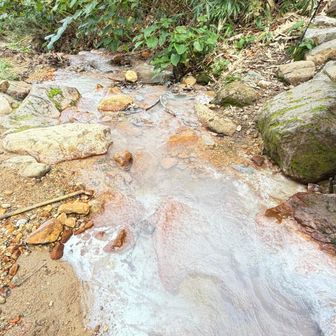 飽きてた下山道でしたが、この川の水でリフレッシュ💦