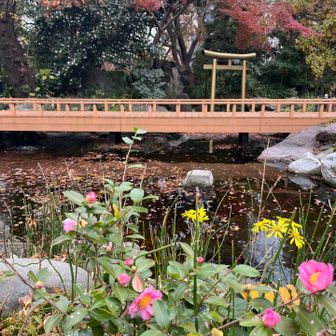 愛宕山の山頂どこ〜