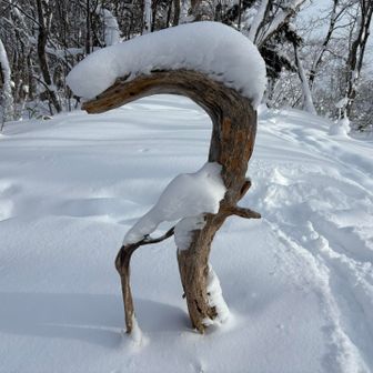 阿部さんちのガーデンシンボル