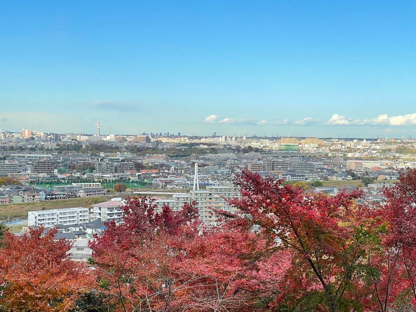 愛宕山から紅葉越しにさいたま新都心