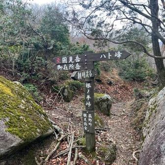 ずっと上見ながら🍄‍🟫探しているから、首が痛い😣