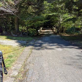 すっかり1人でまわれる自分がおる
このコースだとカロリー1300かあ　
2000削りたかった