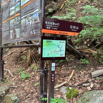 ここに落とし物があったので、駐車場のおじろに預けました。