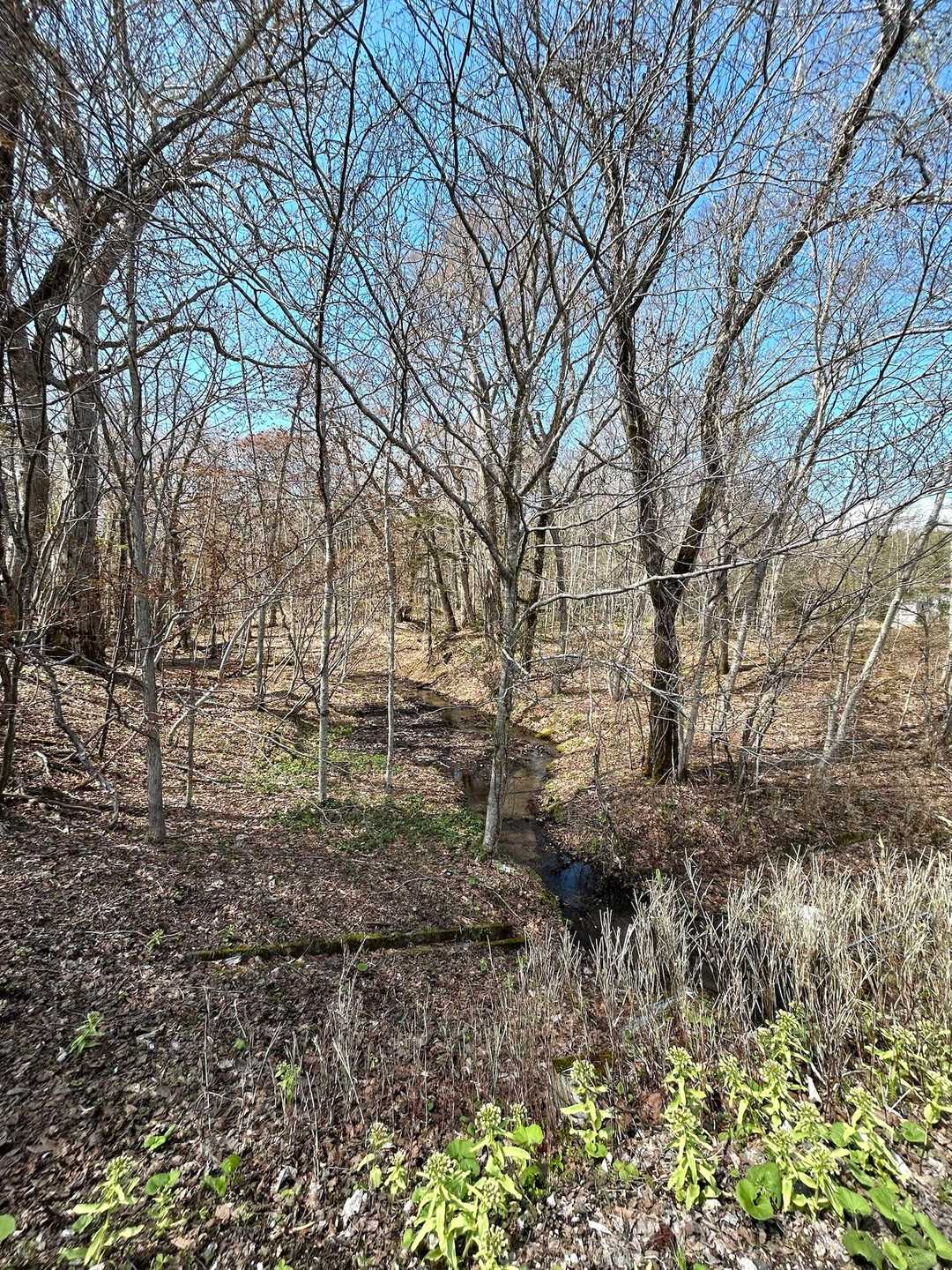 季節が進んだら、この辺りも緑に覆われるのだろうか🌳🌱🌳🍀