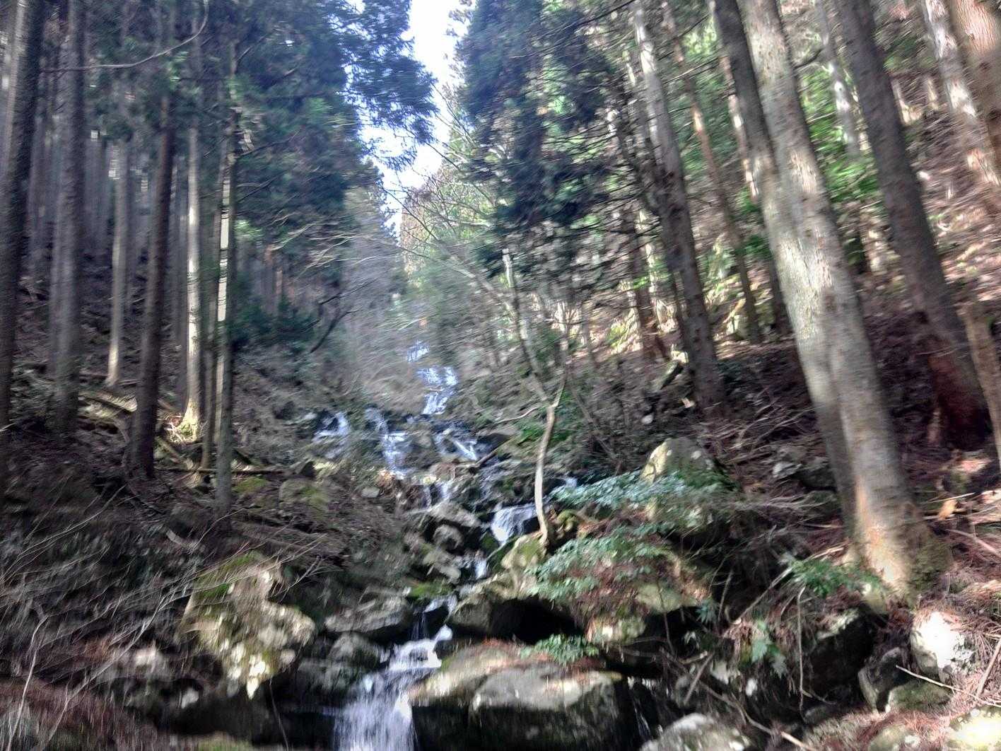 三谷登山口-千ヶ峰 往復コースの写真