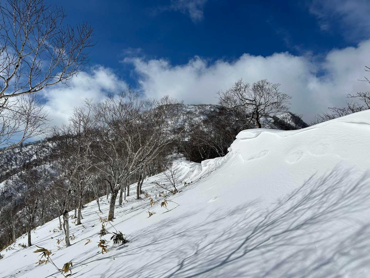 雪庇下だか雪崩れるほどでは無い斜度なので進む