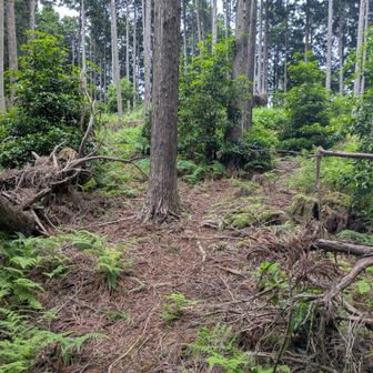 恵心僧侶の御墓の右側にも数多の高僧たちの墓石があり、その間を進ませていただいて霊山峰に続く登道へ