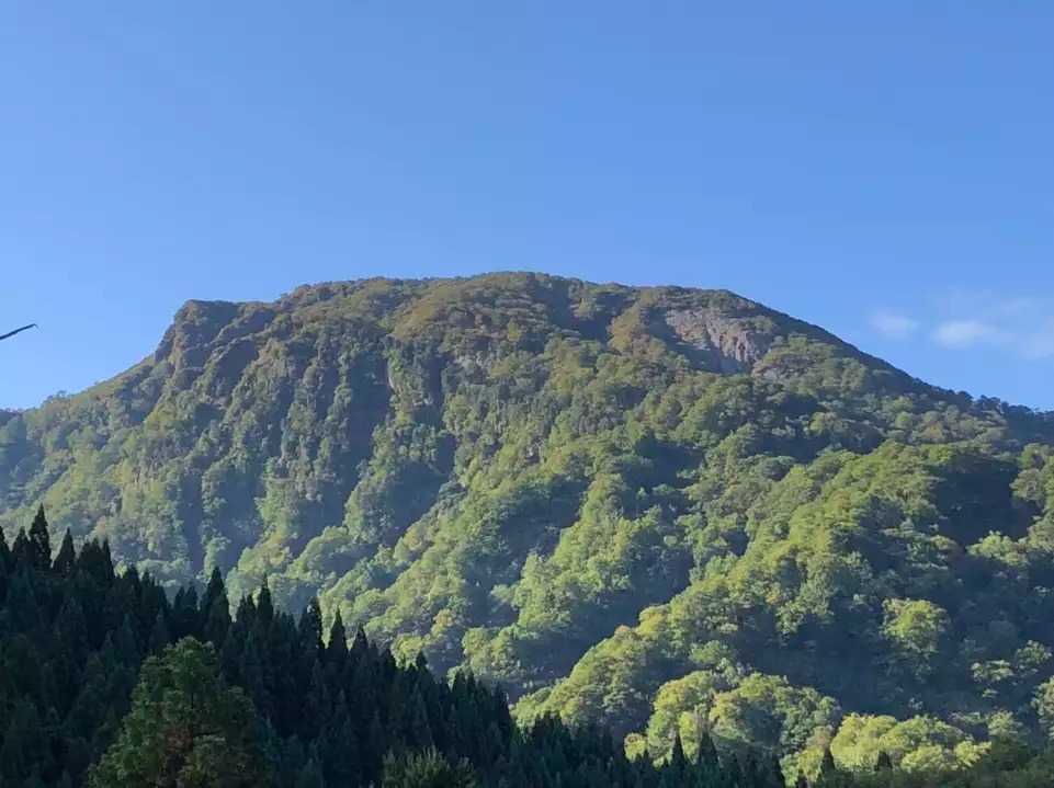 丁岳の写真
