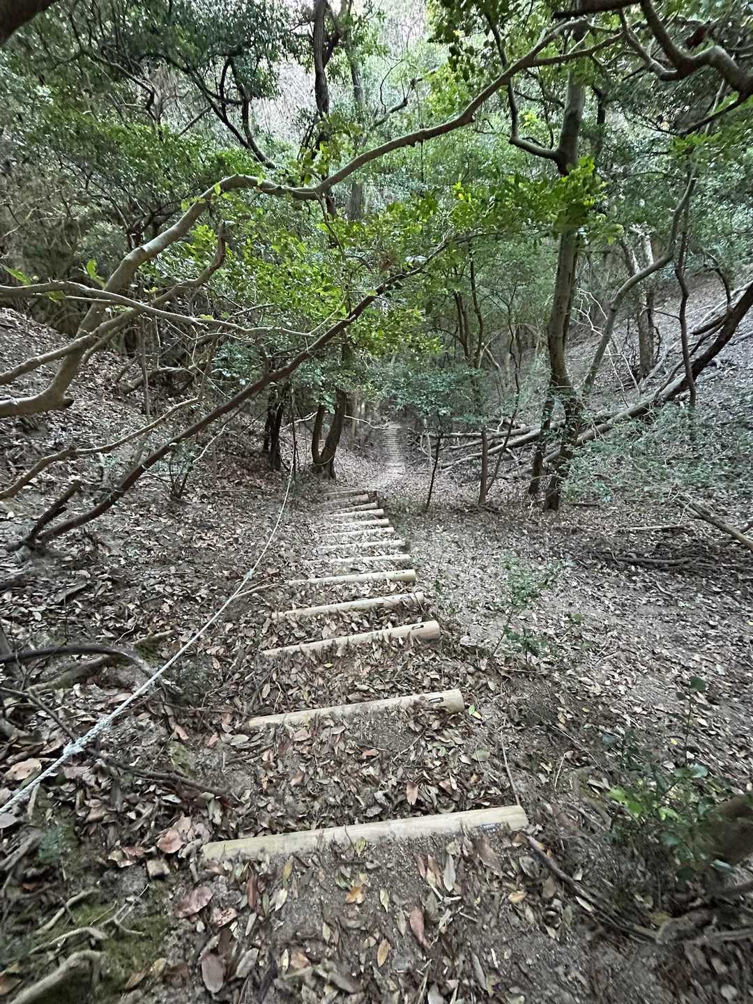 延々と続く下り階段。登りはキツかろうっ⁉️