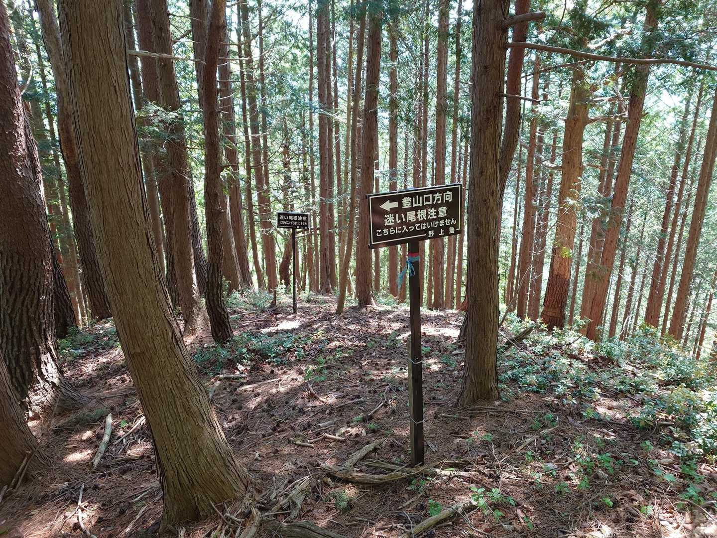 仏ヶ尾山 往復コースの写真