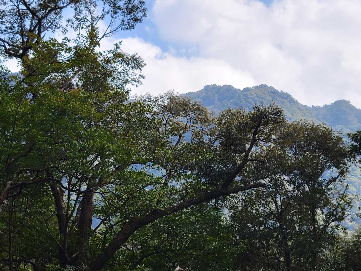 やっと花切山頂が顔をだしましたが、未先は長い
