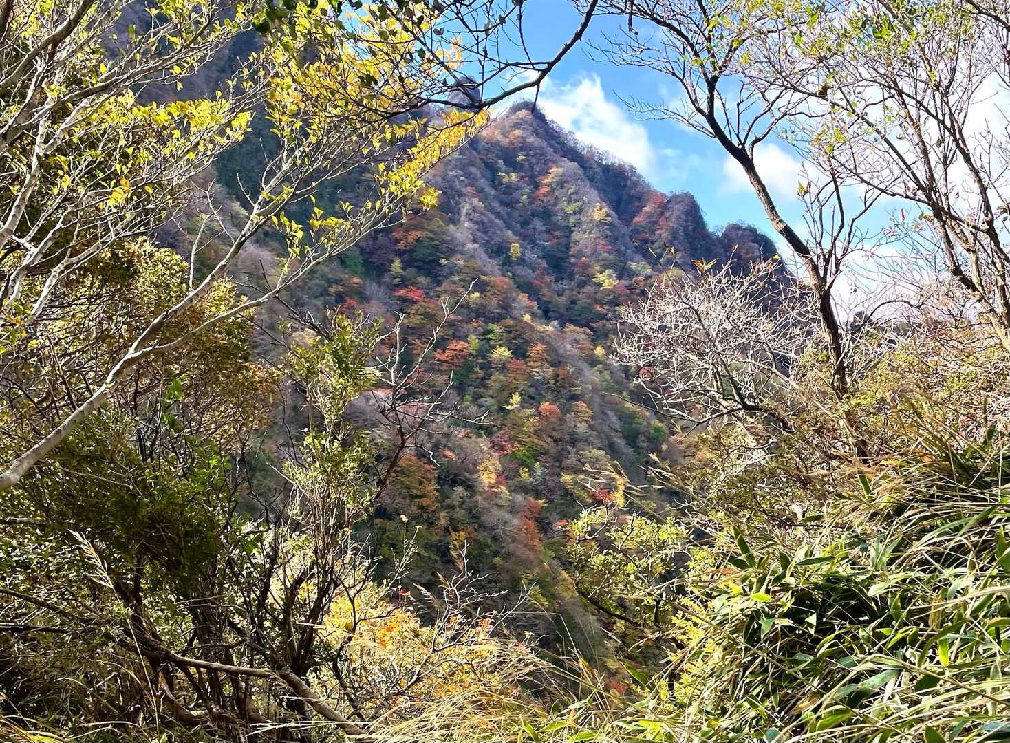 美しーい🧡💛💚