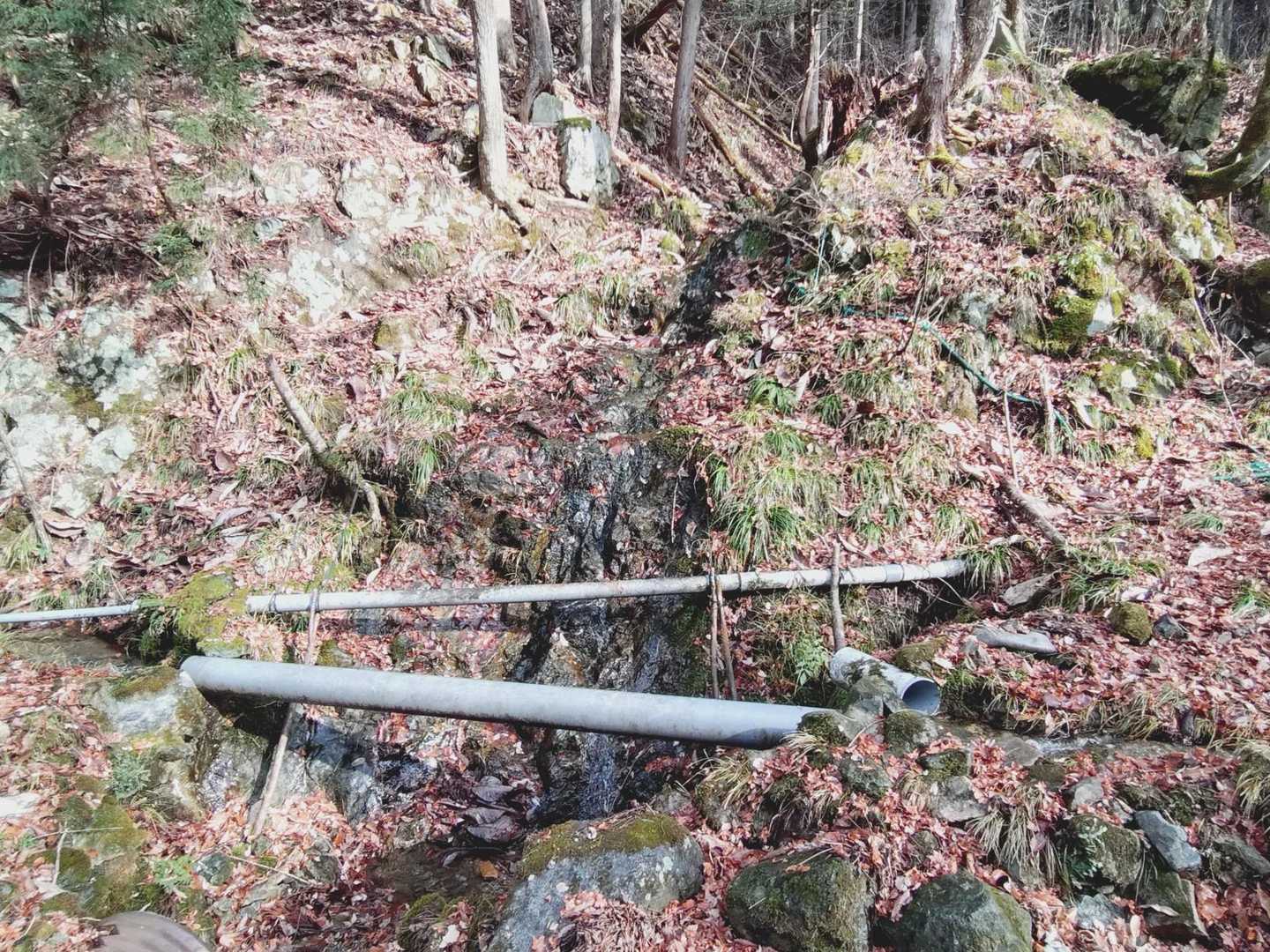 黒森山 往復コースの写真