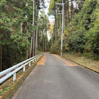 林道をテクテク。もう山道は無いかな？