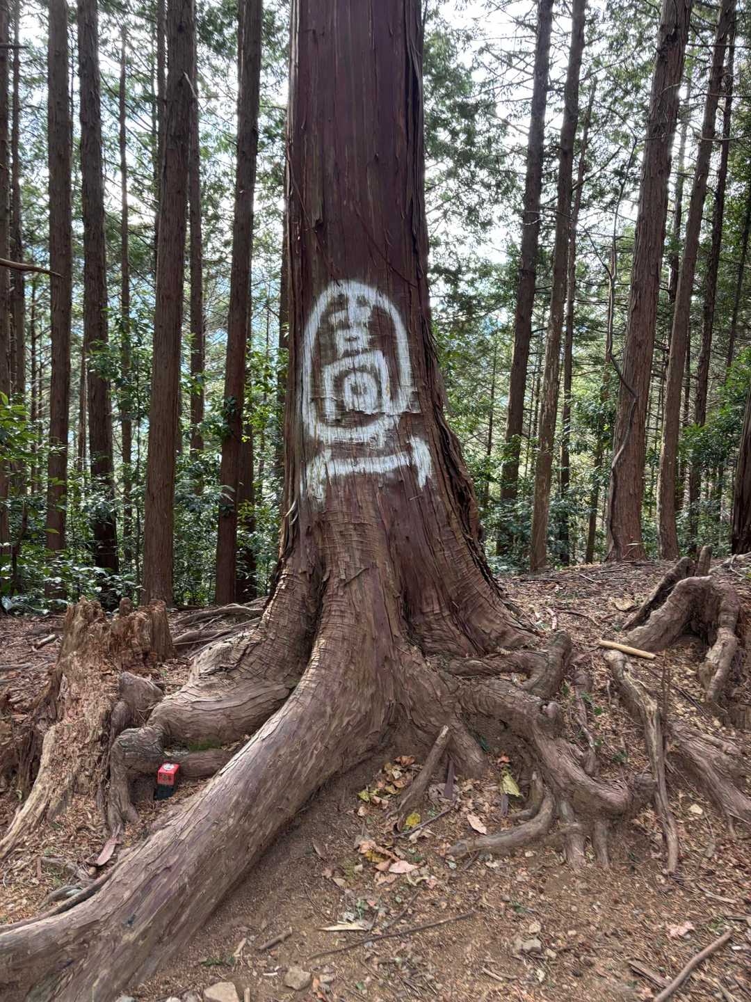 これはなんだろう？