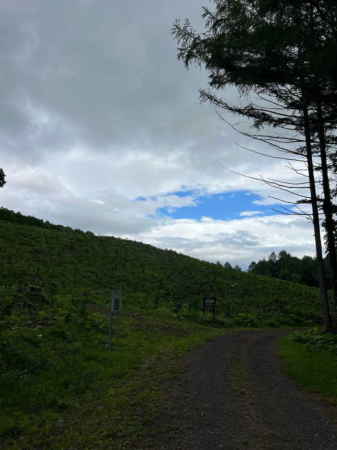 最近お天気安定せず☔️⛅️