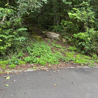 ここから舗装路でおりる