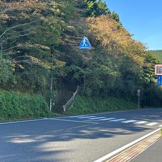 ここは箱根外輪山登山口なので違う
