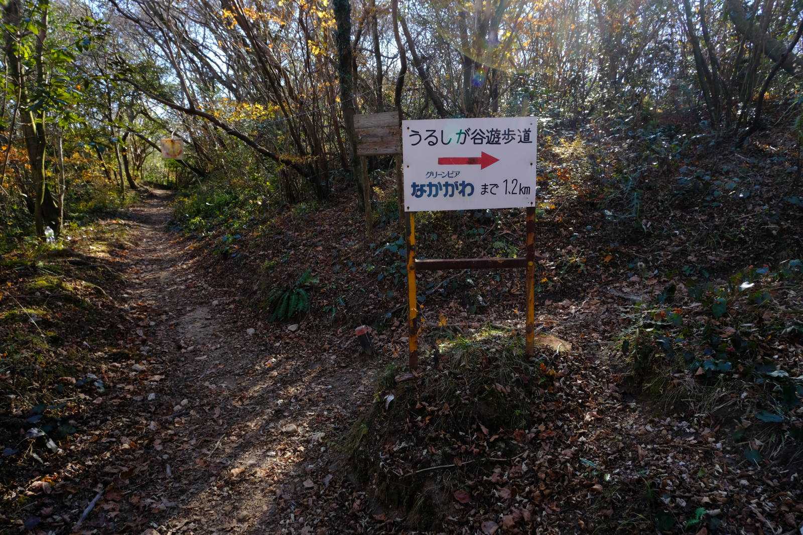 下りはうるしが谷登山道を通りました