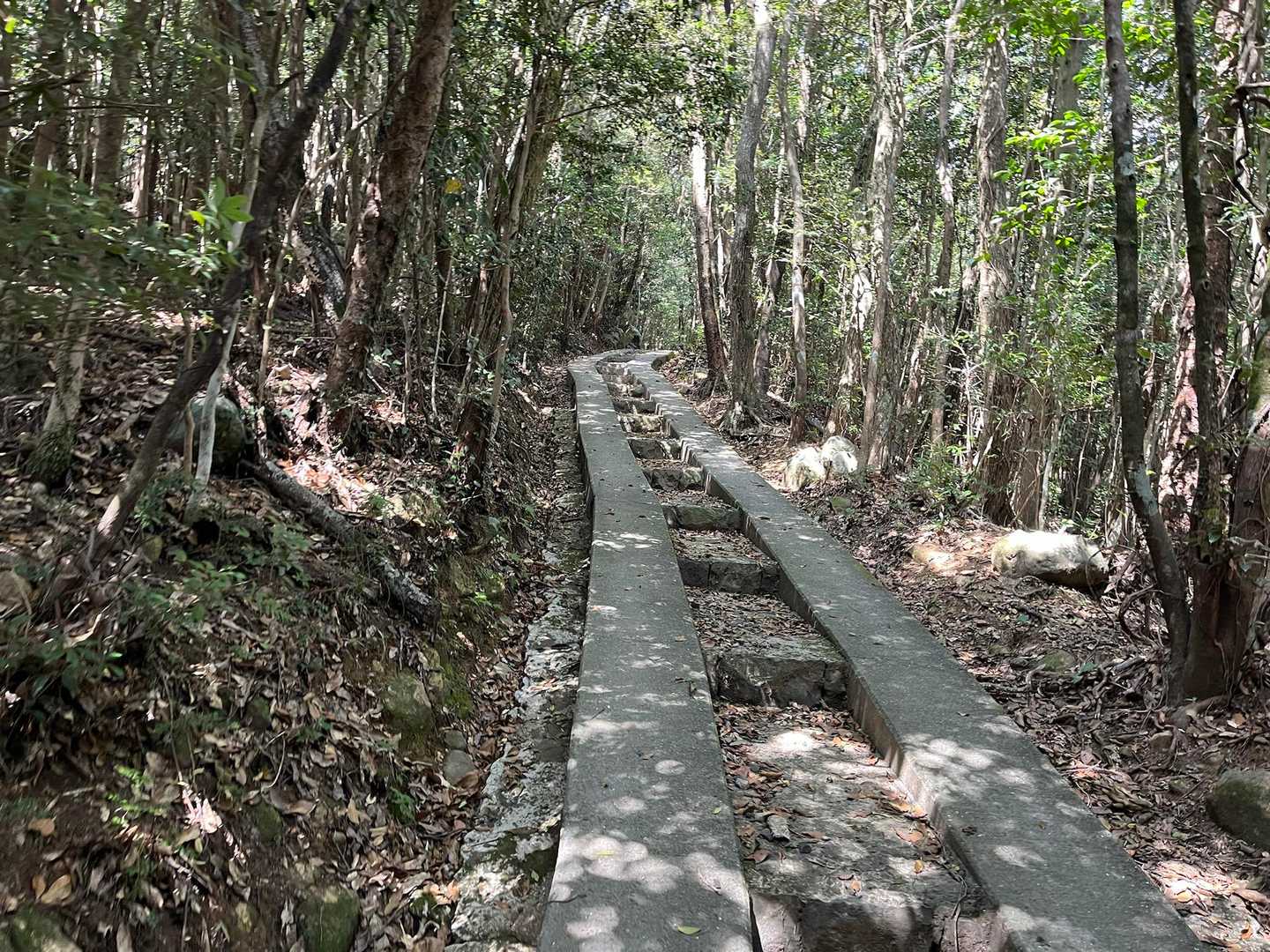 安満岳 往復コースの写真