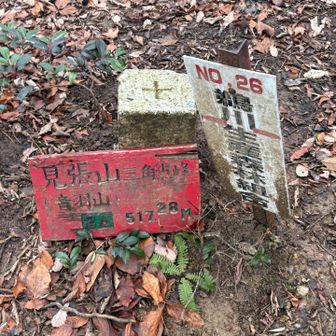ここでお昼休憩
ホットコーヒーもいただきました☕️