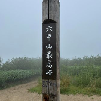 いつもの😆
数えたら通算29回目でした👍