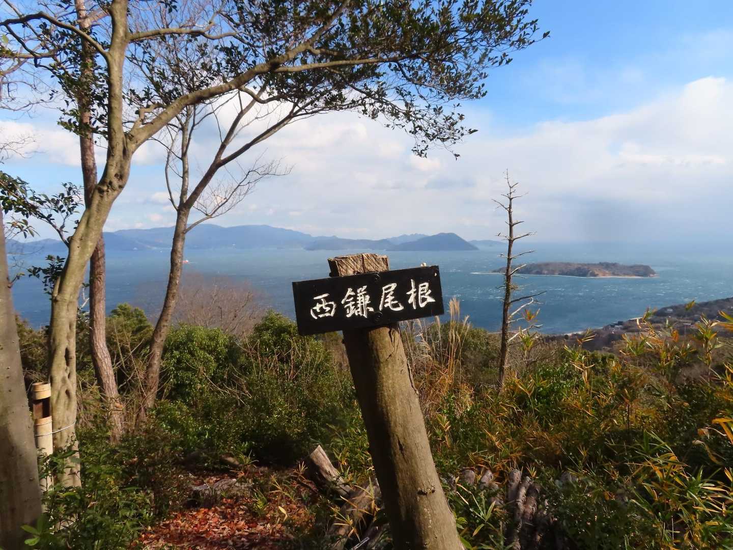 開けてる所も沢山あります。
風通しよし(•ᴗ•; )