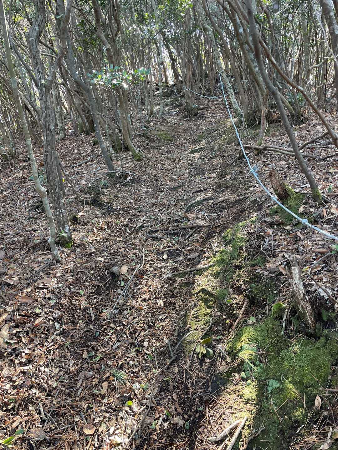 次の洞ヶ山の山頂直前は、ロープが張られた急登です💦